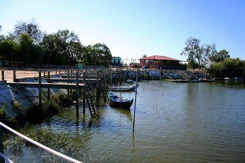 nT4NCJs31Q82NMZ1ZvdA.jpg nT4NCJs31Q82NMZ1ZvdA.jpg