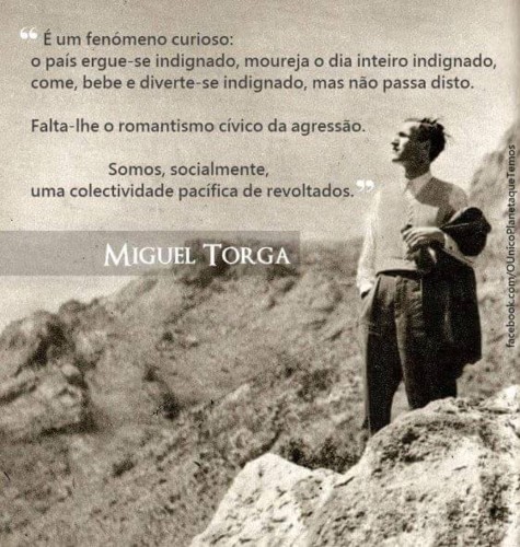 13413178_1117839698239475_2429976029821665110_n.jp