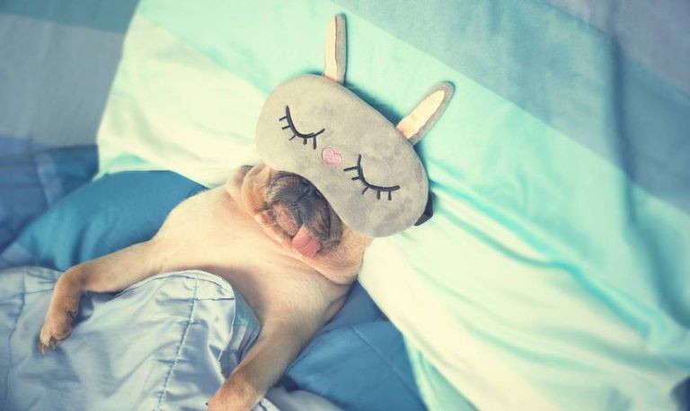 YRF4IH56IMHRL6DOKUGW3LRZ44.jpg YRF4IH56IMHRL6DOKUGW3LRZ44.jpg