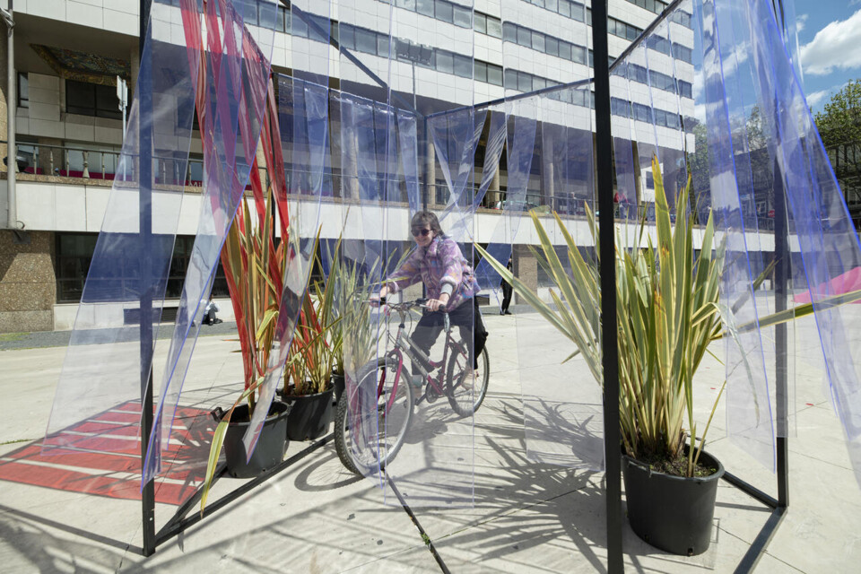 3. PAISAGEM BOLDO_FOTO JOÃO PEIXOTO_Easy-Resize.c