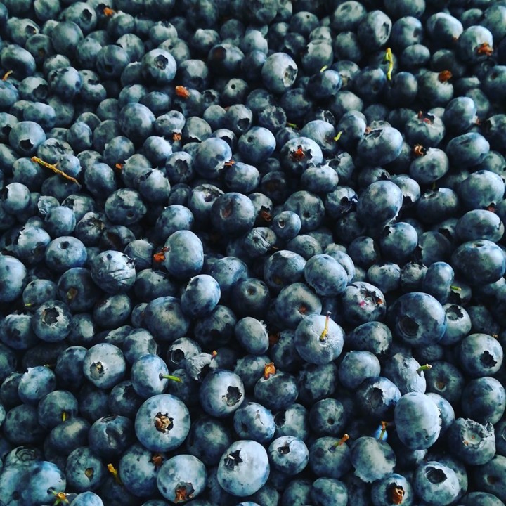 65944020_1409497079190049_8789612685357481984_n.jp