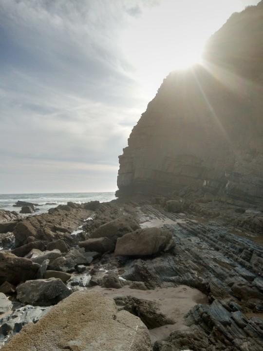 IMG_20190812_180637.jpg IMG_20190812_180637.jpg