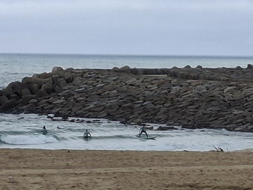 11a_Espinho (52).jpg