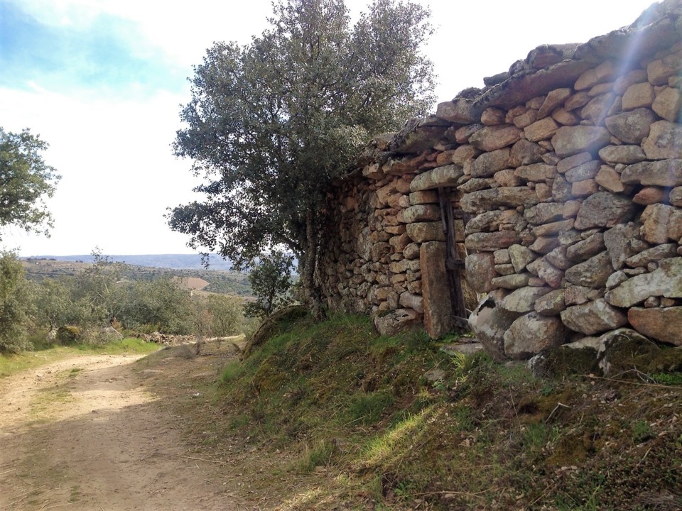 despojos.JPG despojos.JPG