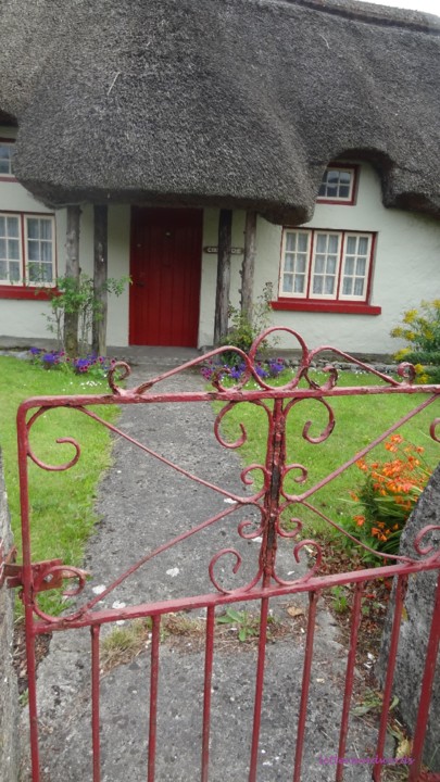 DSC07377.JPG DSC07377.JPG