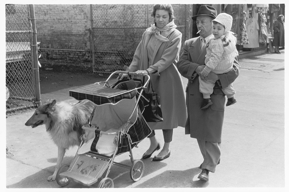Jonathan Brand, Family out for a walk with collie,