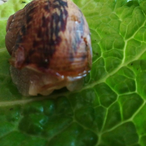 48275822_1263645950441830_4696533007165554688_n.jp