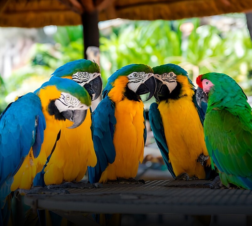 547973606_818792784003099_3021895372392150633_n.jp