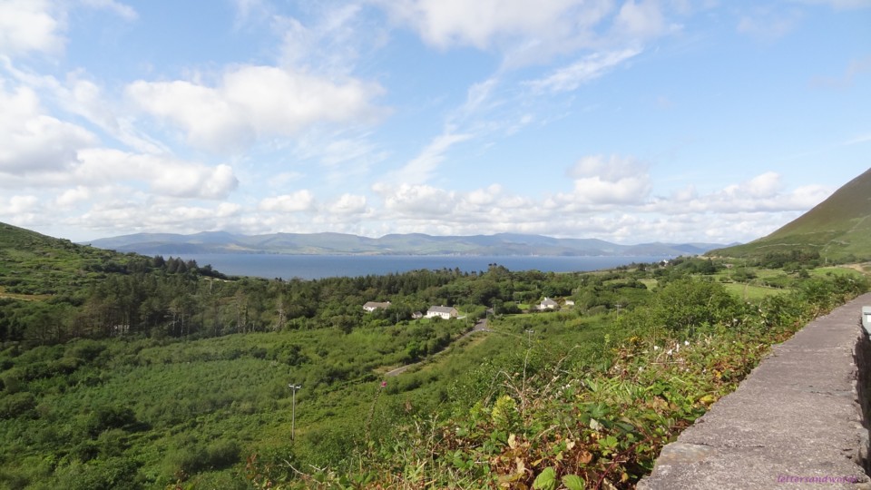 DSC07115.JPG DSC07115.JPG