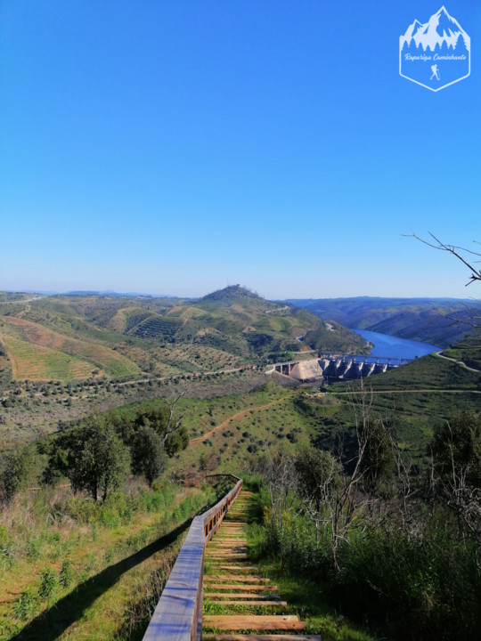 Photo_1583863978111.jpg Photo_1583863978111.jpg