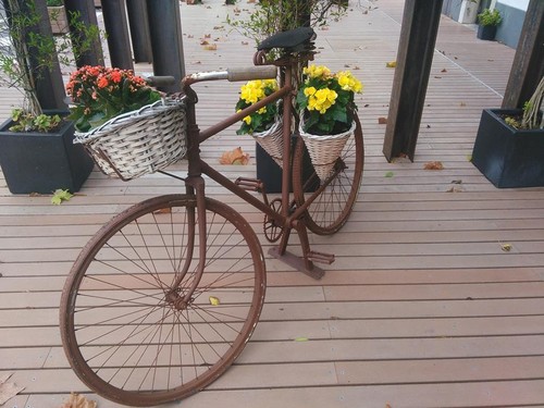 14632810_782350011904762_3865949285097071685_n.jpg 14632810_782350011904762_3865949285097071685_n.jpg