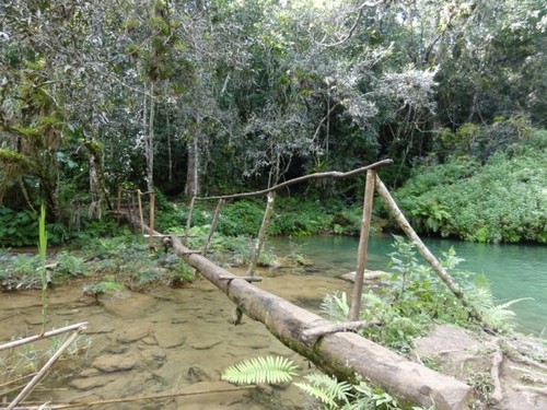 36cbf3eb014f7c939f3c47369d25dd0c.jpg 36cbf3eb014f7c939f3c47369d25dd0c.jpg