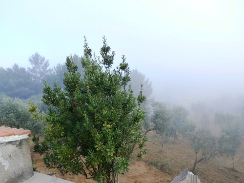 torroselo 010.jpg torroselo 010.jpg