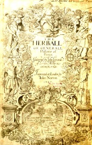 To be or not to be European 3.JPG