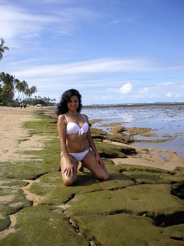 IMGP3631.JPG IMGP3631.JPG