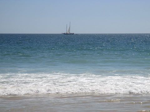 11888070_10205874387677451_9061068759253096205_n.j