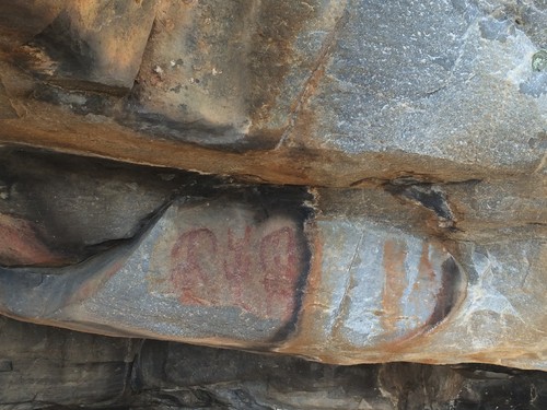 IMG_1925.JPG IMG_1925.JPG