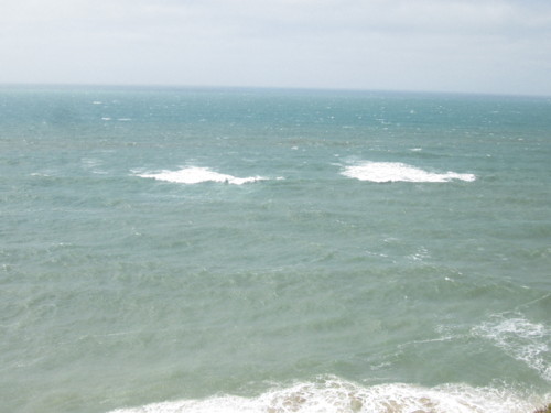 IMG_5597.JPG IMG_5597.JPG