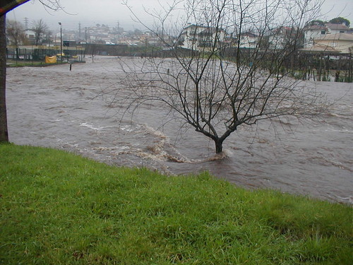 CHEIAS DE 2016 041.jpg