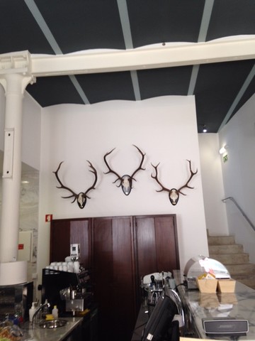 IMG_8051.JPG.jpeg IMG_8051.JPG.jpeg