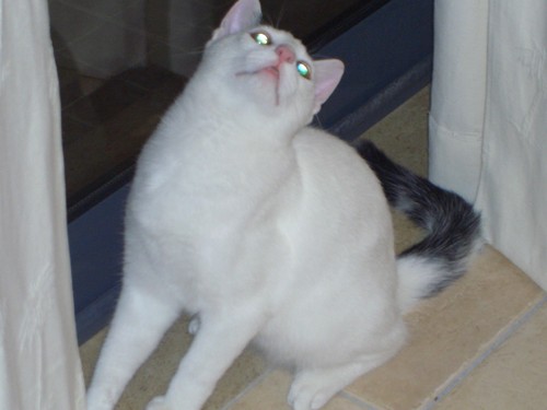 CIMG0067.JPG CIMG0067.JPG