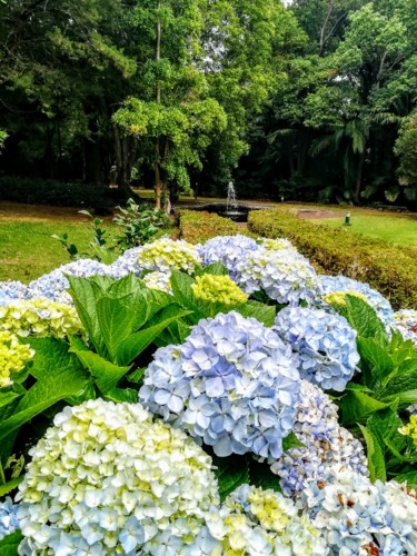 IMG_20180708_145345.jpg IMG_20180708_145345.jpg