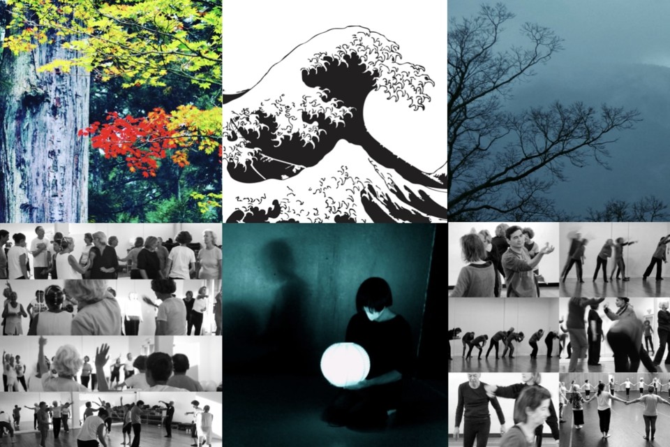 _WAVE DANCE LAB +55 Anos &amp; Seniores de Rafael Alva