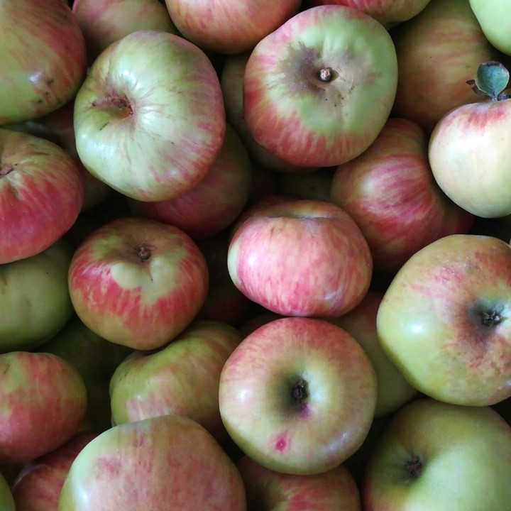 66295451_1410858685720555_7556147525904760832_n.jp