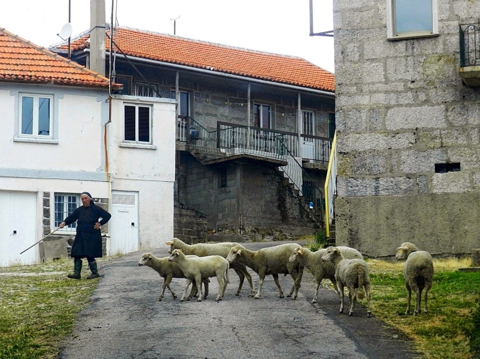 233 - Coriscadas.JPG