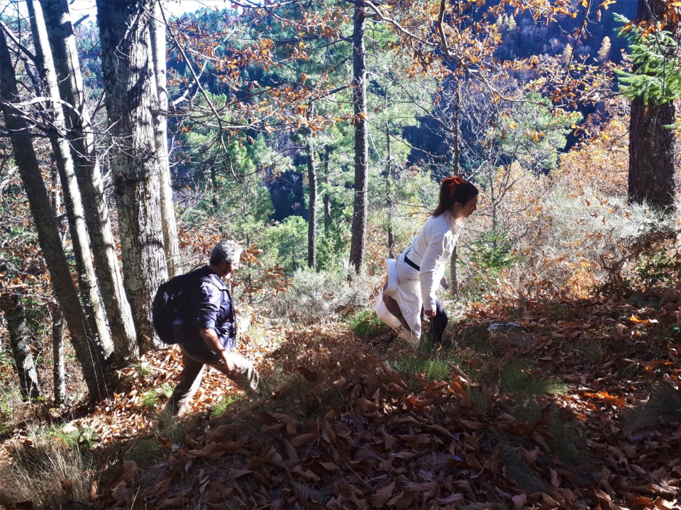 ENCOSTA ZIGUEZAGUE.jpg