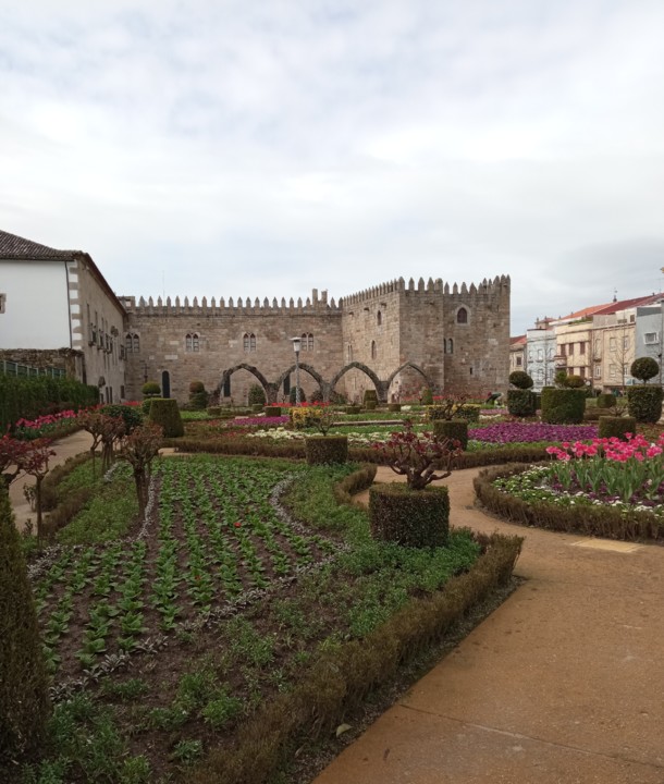 IMG_20210223_120739.jpg IMG_20210223_120739.jpg