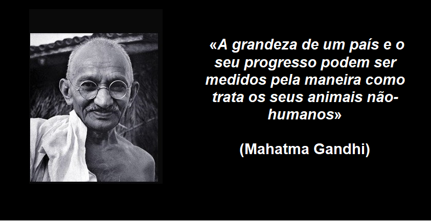 Gandhi.png