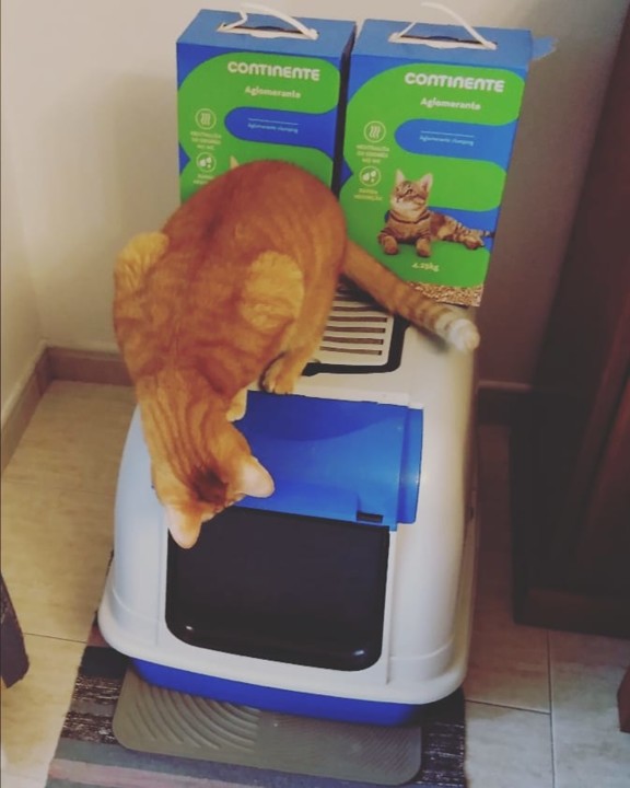 IMG_20191206_164030_731.jpg IMG_20191206_164030_731.jpg