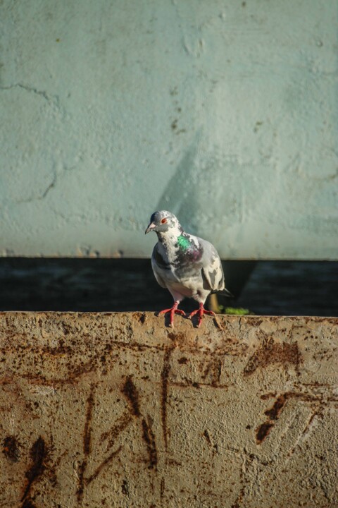 doca do poco do bispo 12.jpg