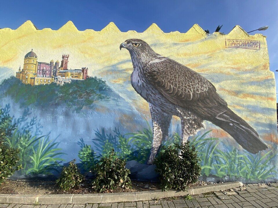 Mural SRP.jpg