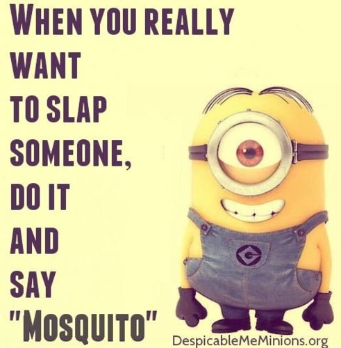 minion-quotes-05.jpg minion-quotes-05.jpg