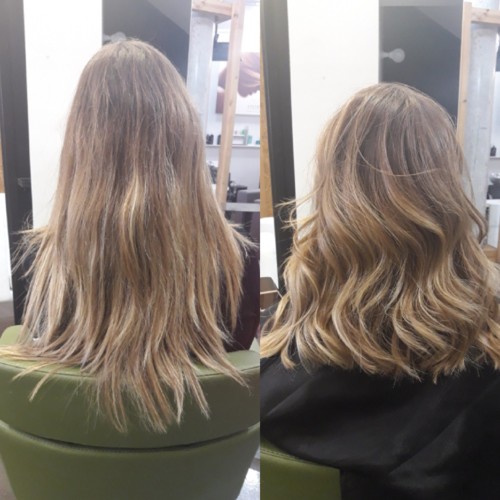 IMG_20180117_132451_521.jpg IMG_20180117_132451_521.jpg