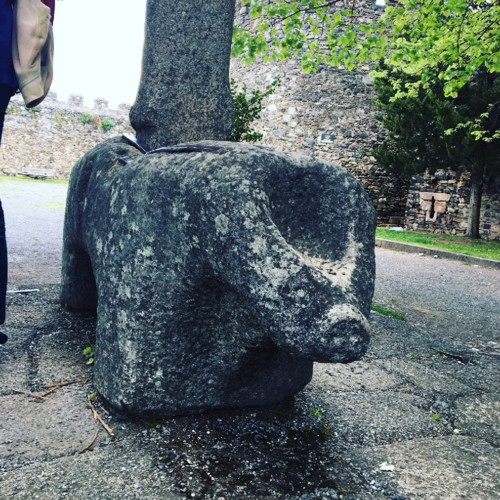 IMG_7848.JPG IMG_7848.JPG