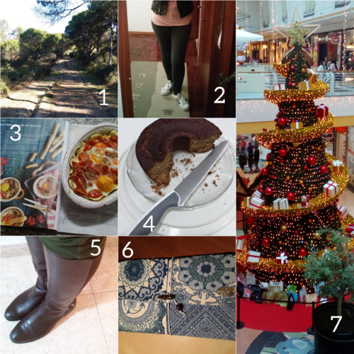 CollageMaker_20171125_175648246.jpg CollageMaker_20171125_175648246.jpg