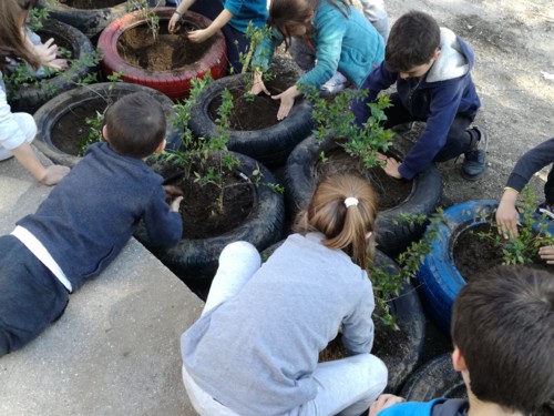 IMG_20180321_152532.jpg IMG_20180321_152532.jpg