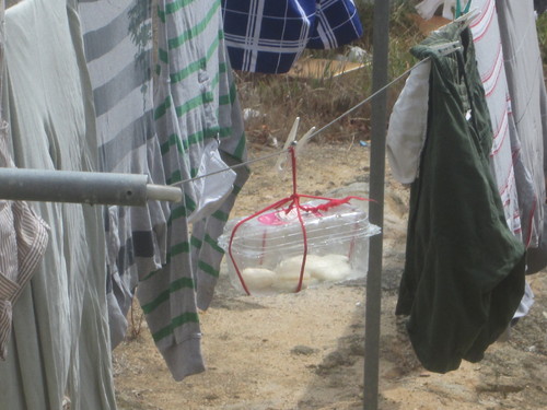 blog 001.jpg blog 001.jpg