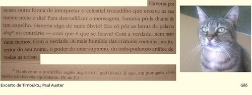 Dia do Animal_Composição Final.jpg Dia do Animal_Composição Final.jpg