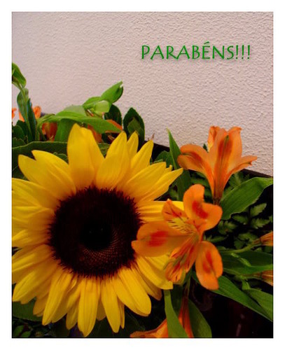 parabensEternamente_Menina.jpg parabensEternamente_Menina.jpg