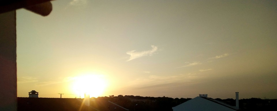 IMG_20190711_215015.jpg IMG_20190711_215015.jpg