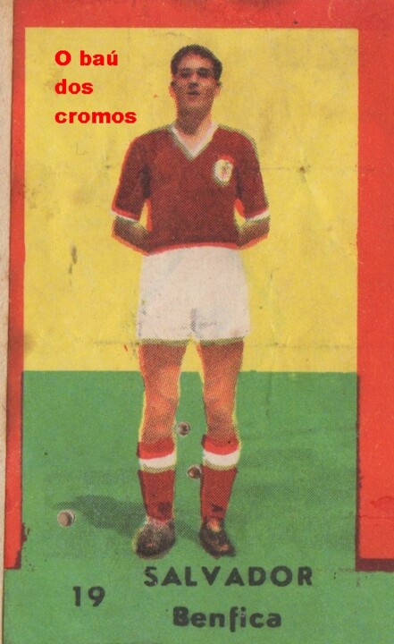 salvador-benfica.jpeg