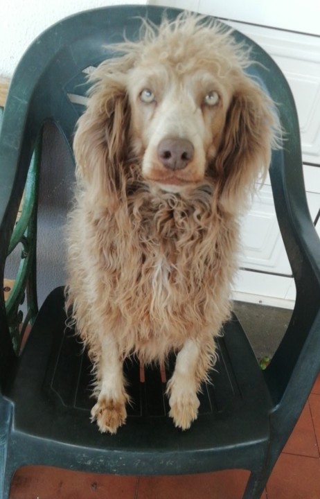 IMG-20190726-WA0010.jpg IMG-20190726-WA0010.jpg