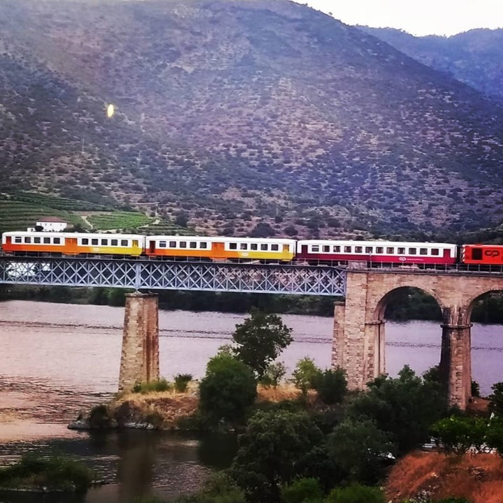 102556501_10214889808633585_5495904004650316250_o. 102556501_10214889808633585_5495904004650316250_o.