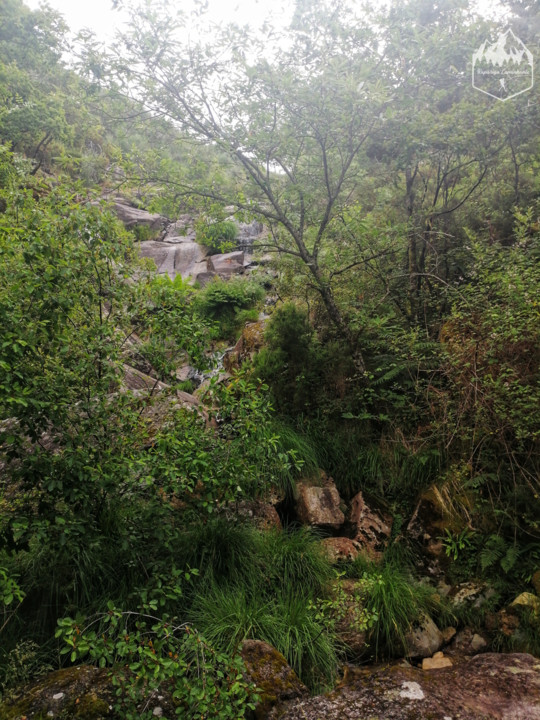 Photo_1597131971563.jpg Photo_1597131971563.jpg