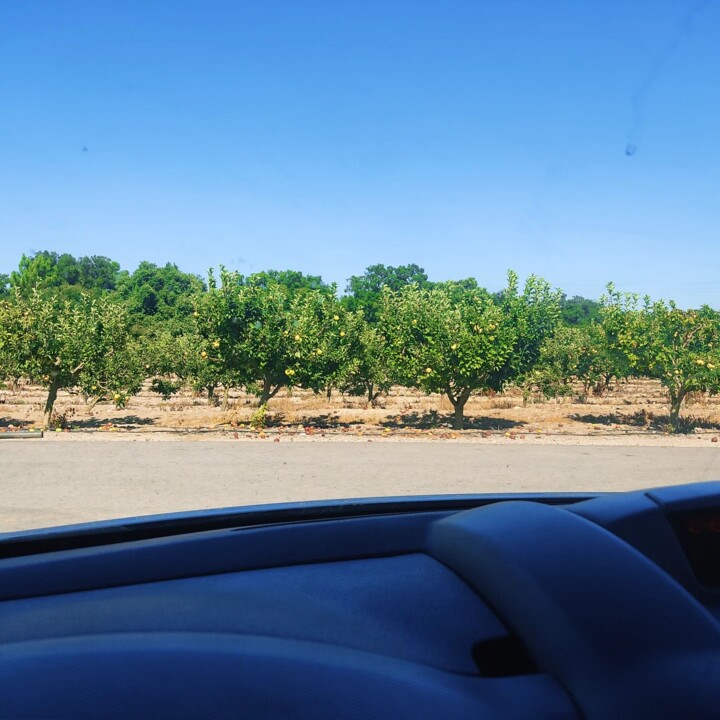 453041098_879367920887286_8225672719000976739_n.jp