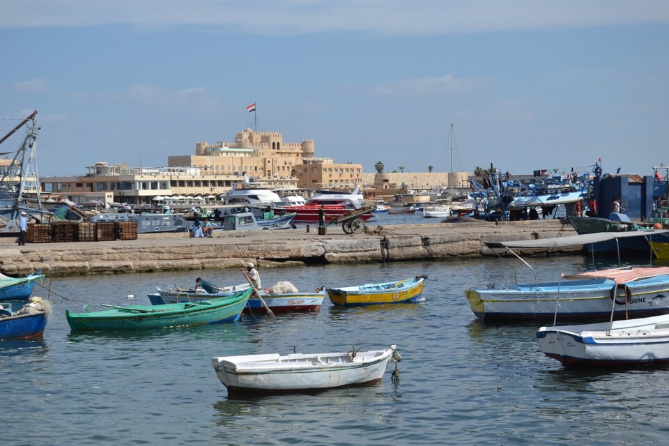 alexandria-3948105_1280.jpg